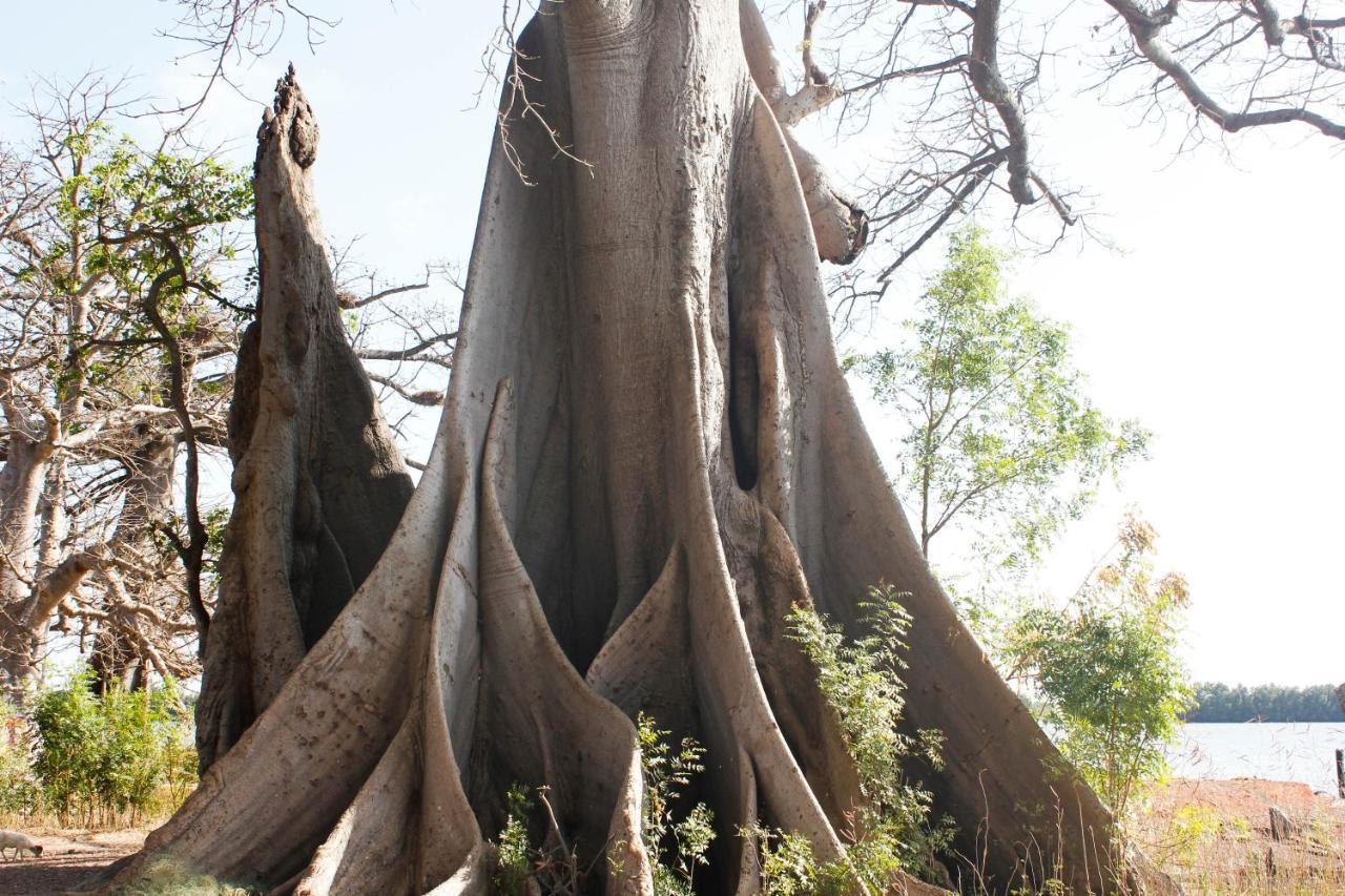 Bintang Bolong Lodge المظهر الخارجي الصورة