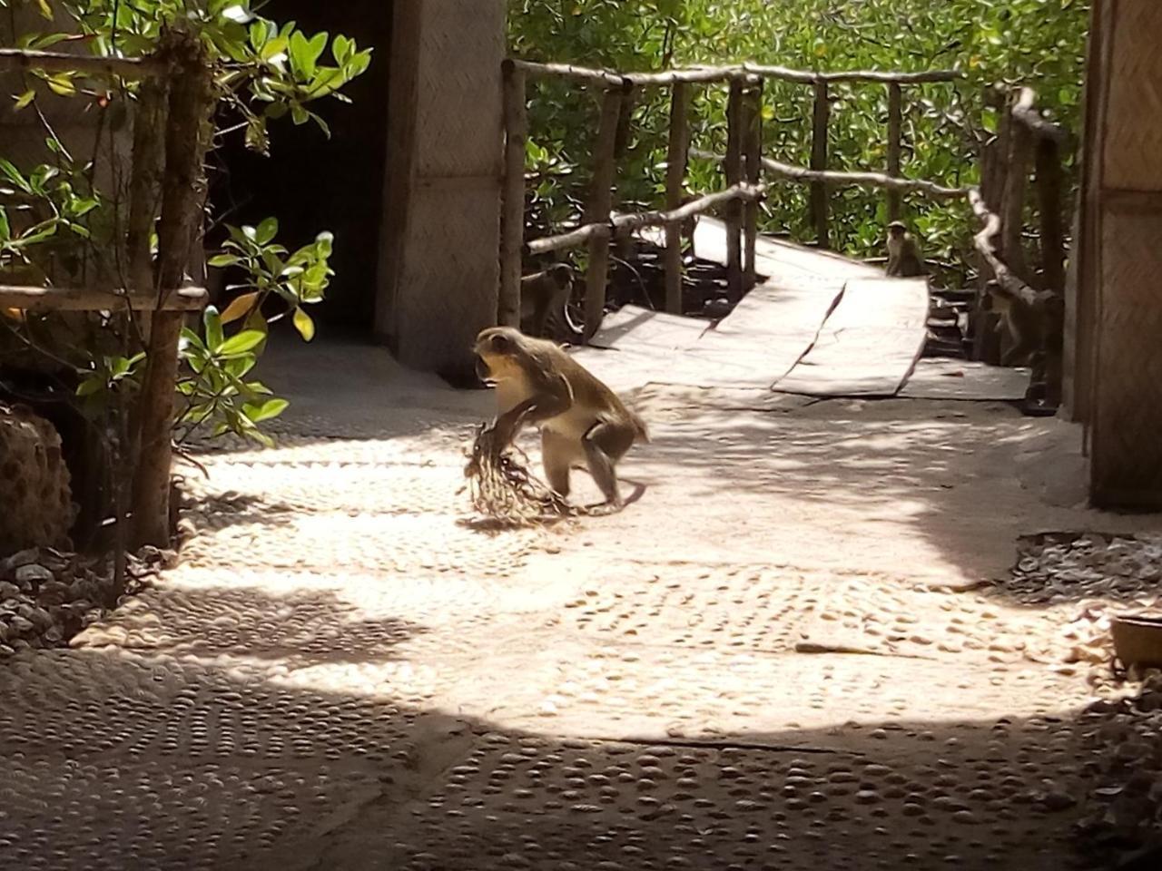 Bintang Bolong Lodge المظهر الخارجي الصورة