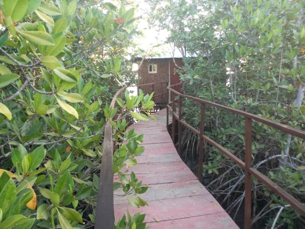 Bintang Bolong Lodge المظهر الخارجي الصورة